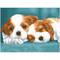 Diamond Dotz® Intermediate Little Champs Diamond Painting Kit